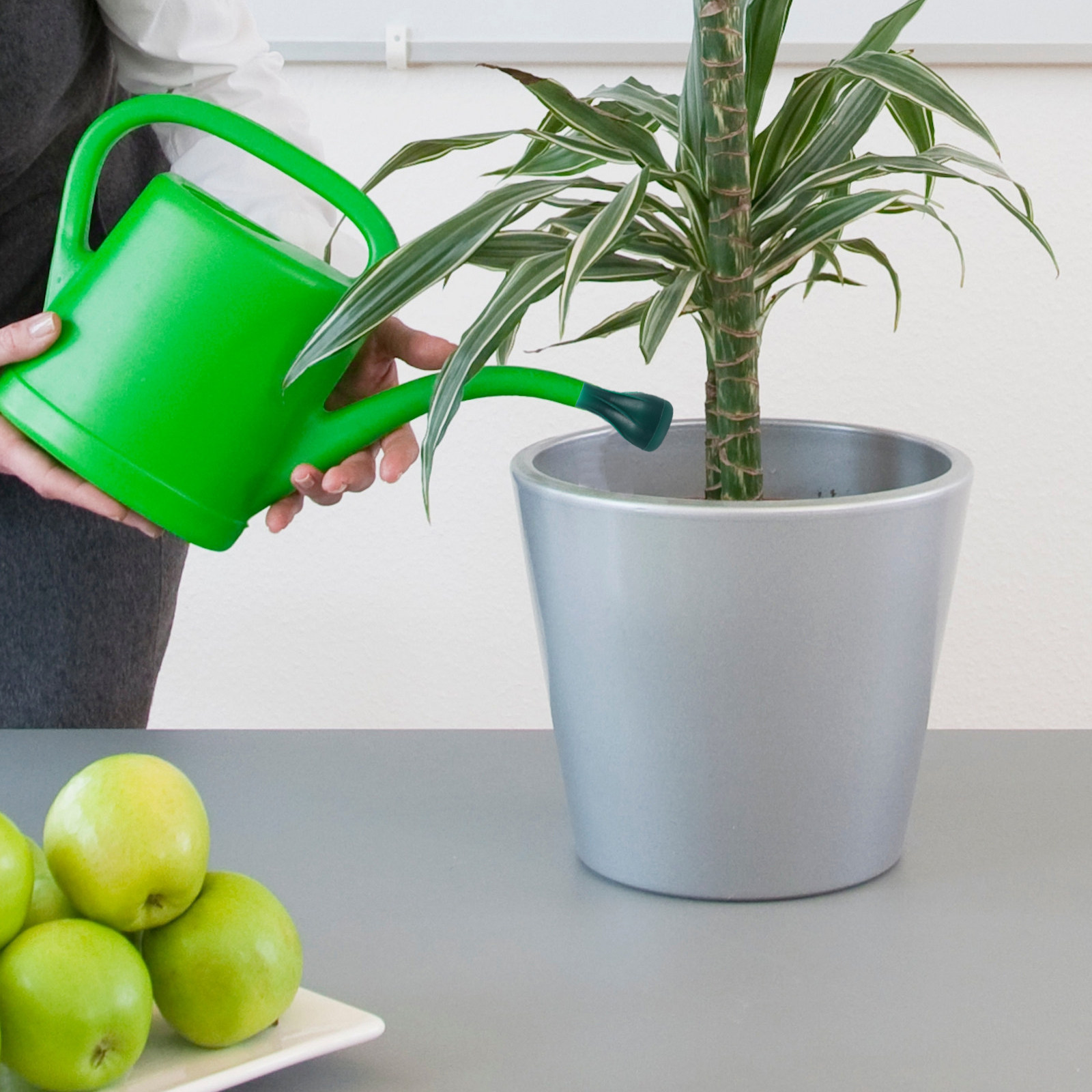 Water Can Sprinkler Head Compa - Bonsai Garden Plants 评论和价格