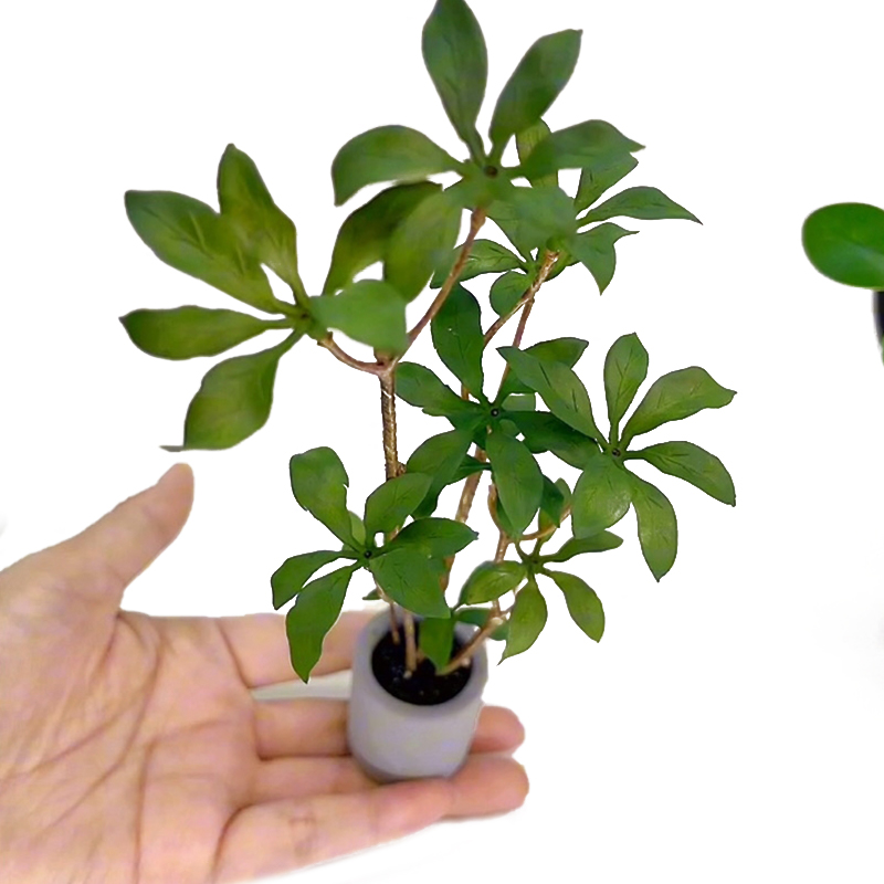 1:6 Dollhouse Miniature Potted - Bonsai Garden Plants 评论和价格