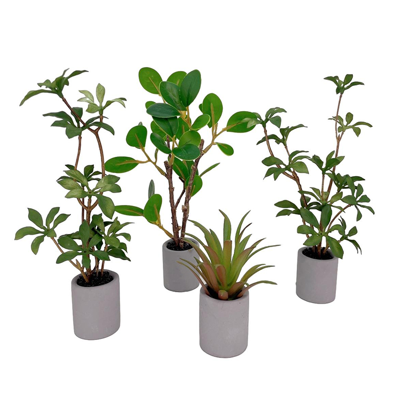 1:6 Dollhouse Miniature Potted - Bonsai Garden Plants 评论和价格