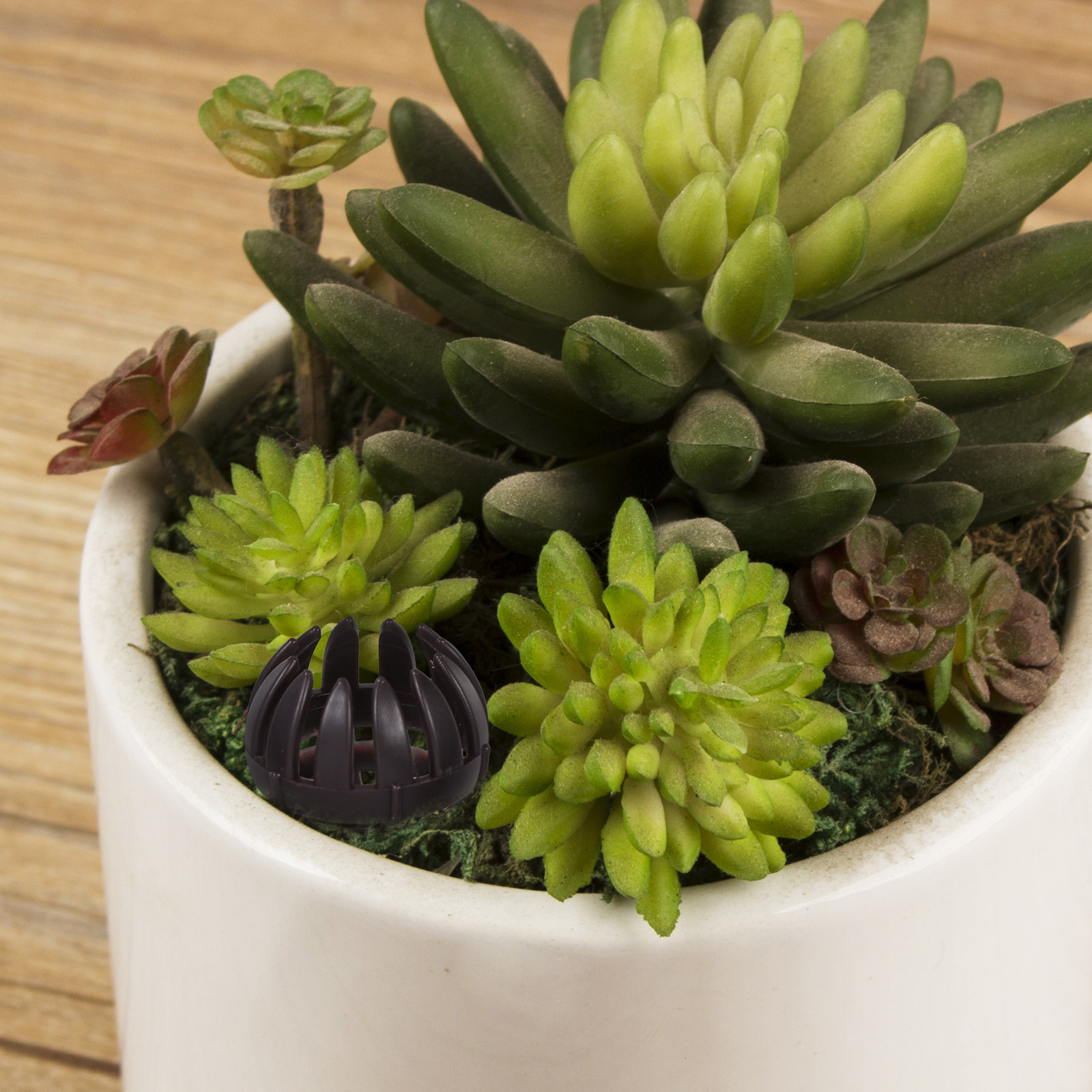 20Pcs Plastic Fertilizer Baske - Bonsai Garden Plants 评论和价格