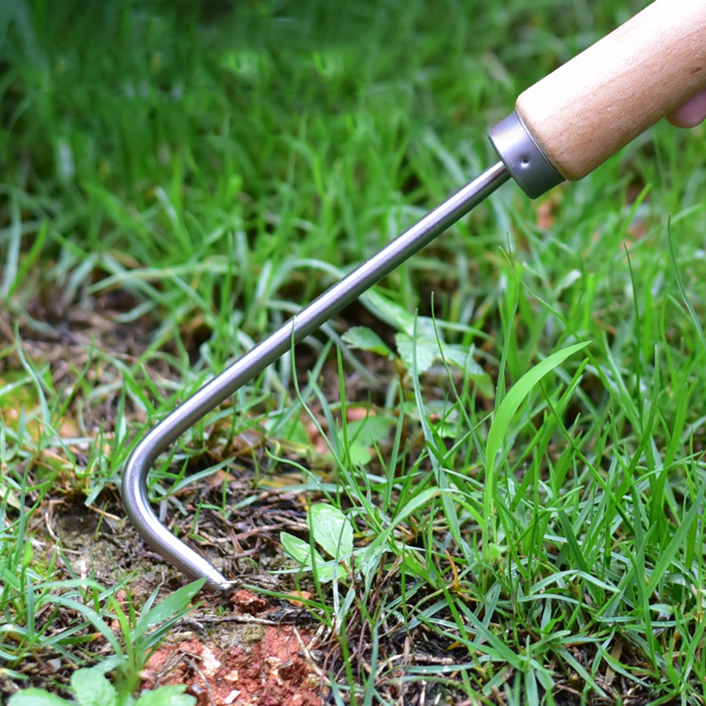 1PC Single Claw Hook Soil Loos - Bonsai Garden Plants 评论和价格