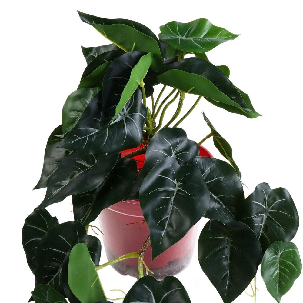 Tropical Nordic Desk Office Ga - Bonsai Garden Desk 评论和价格