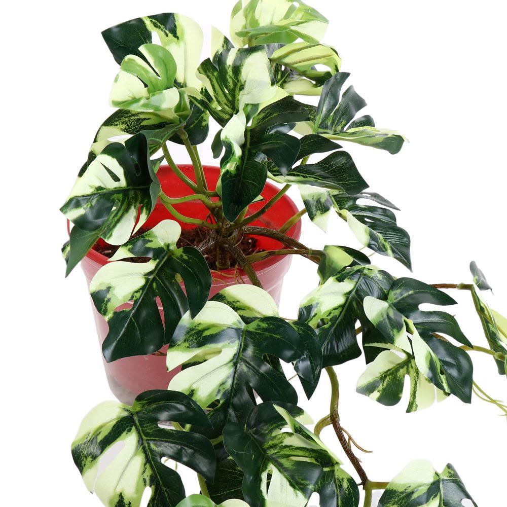 Tropical Nordic Desk Office Ga - Bonsai Garden Desk 评论和价格