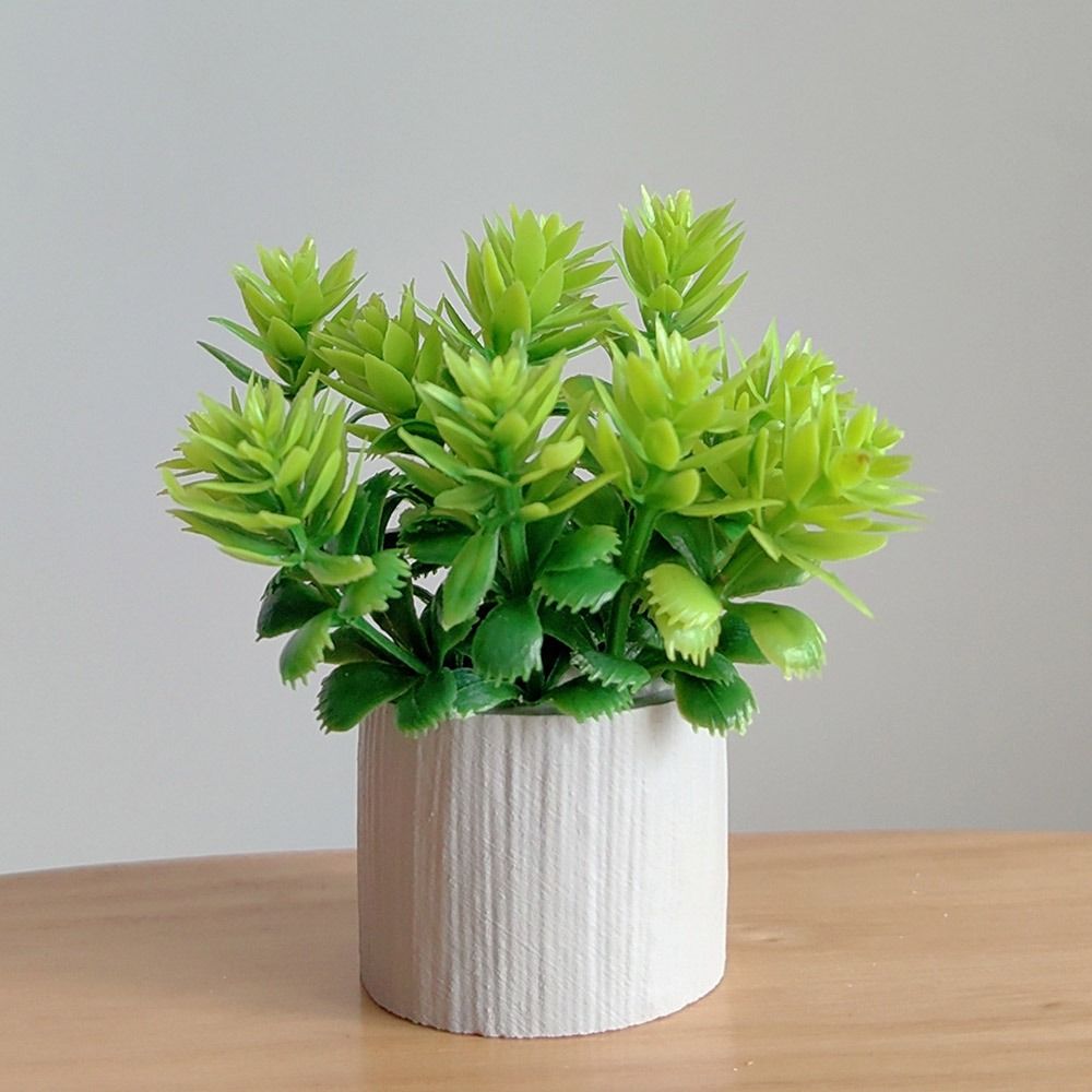 1:6 Scale Dollhouse Potted Pla - Bonsai Garden Miniature 评论和价格