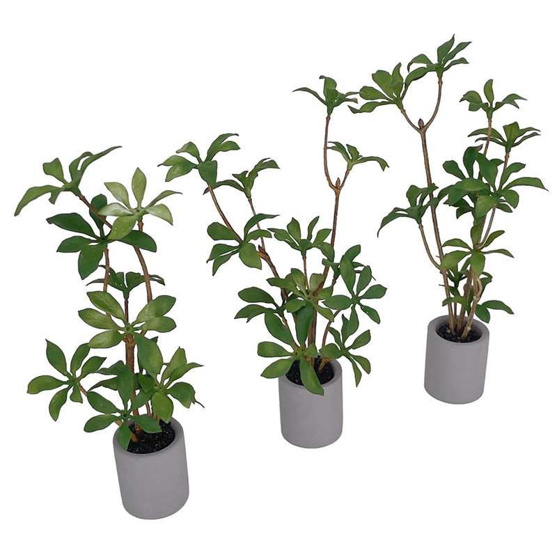 1:6 Dollhouse Miniature Potted - Bonsai Garden Miniature 评论和价格