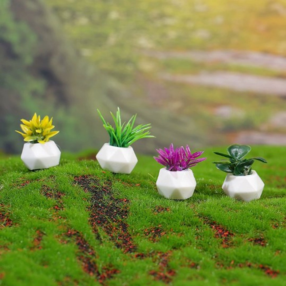 1:12 Dollhouse Miniature Potte - Bonsai Garden Miniature 评论和价格