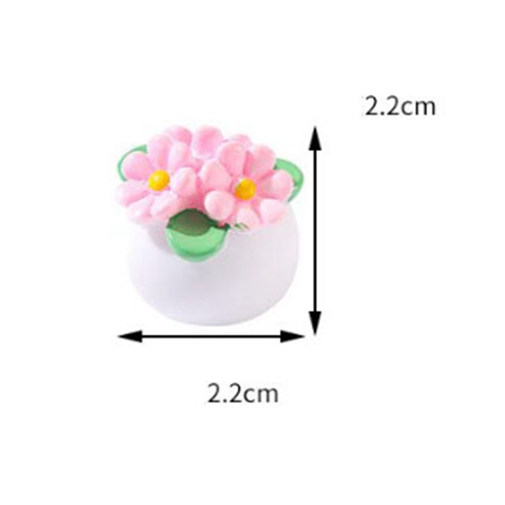 1:12 Dollhouse Miniature Potte - Bonsai Garden Miniature 评论和价格