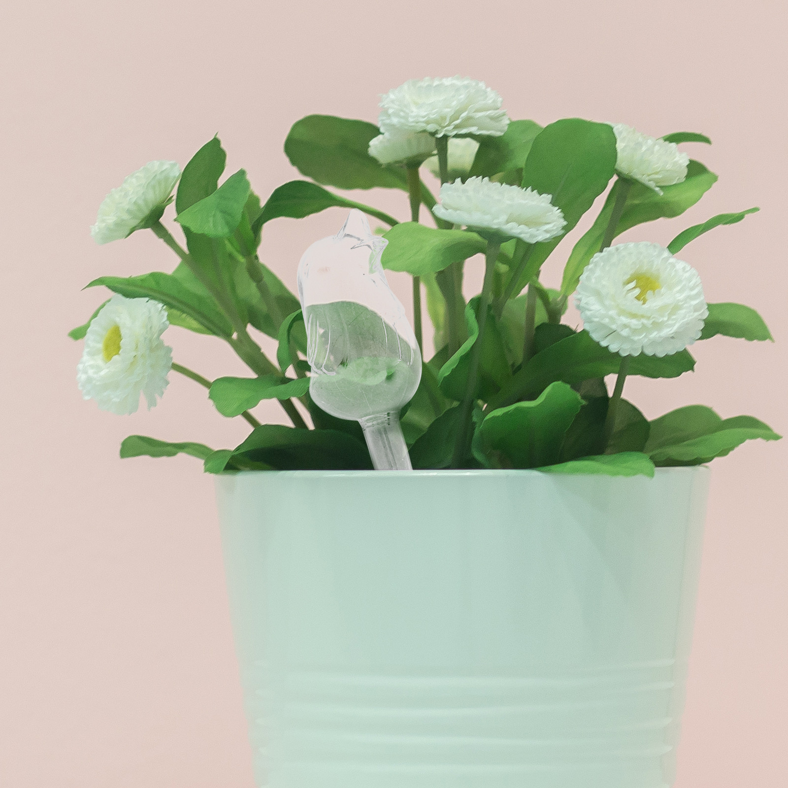 Glass Self-Watering Globes Aut - Bonsai Garden Plants 评论和价格