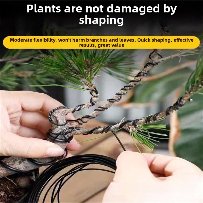 1.5MM Bonsai Wires Aluminum Bo - Bonsai Garden Plants 评论和价格