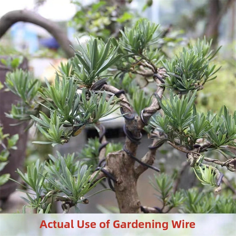 1.5MM Bonsai Wires Aluminum Bo - Bonsai Garden Plants 评论和价格