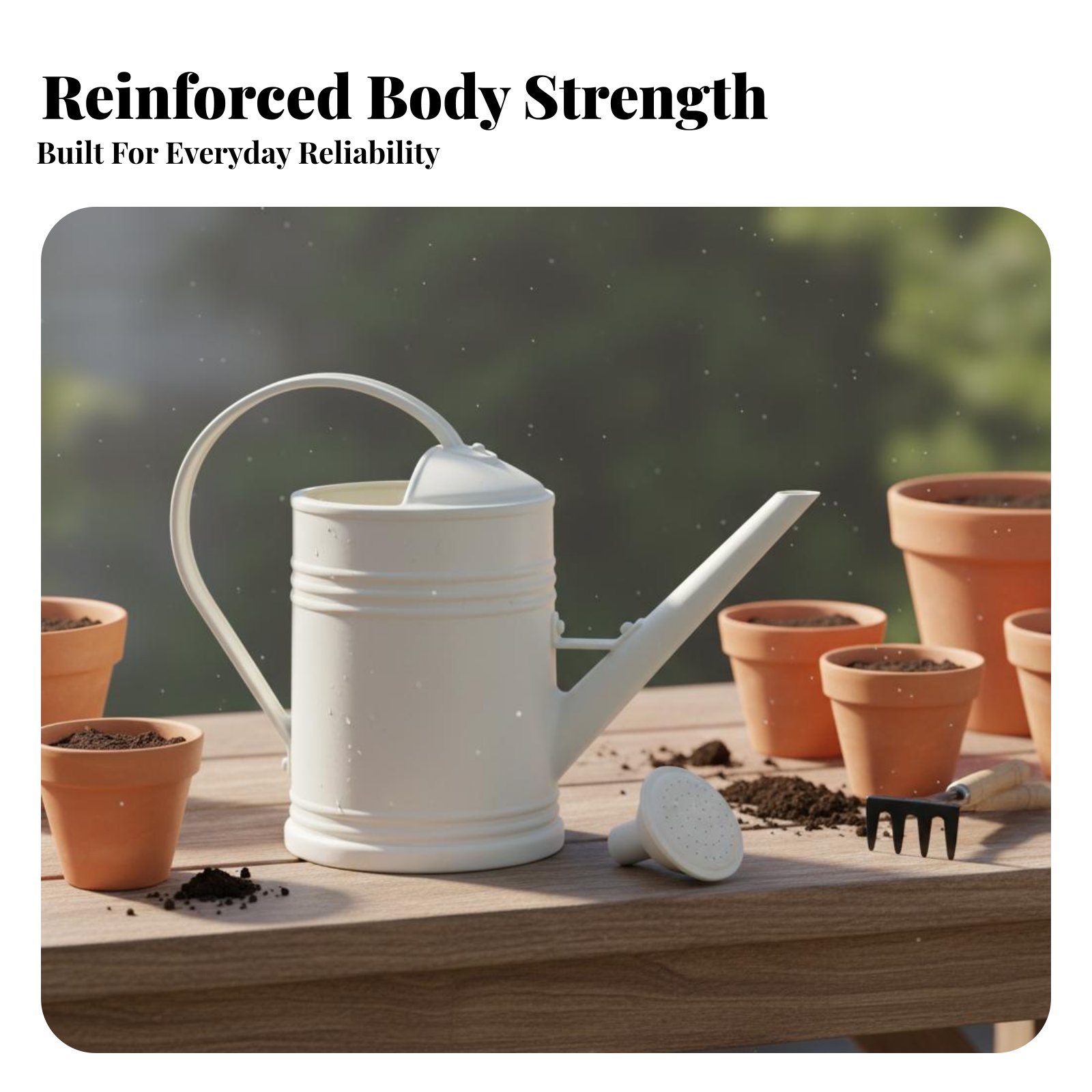 Watering Can with Long Spout P - Bonsai Garden Plants 评论和价格