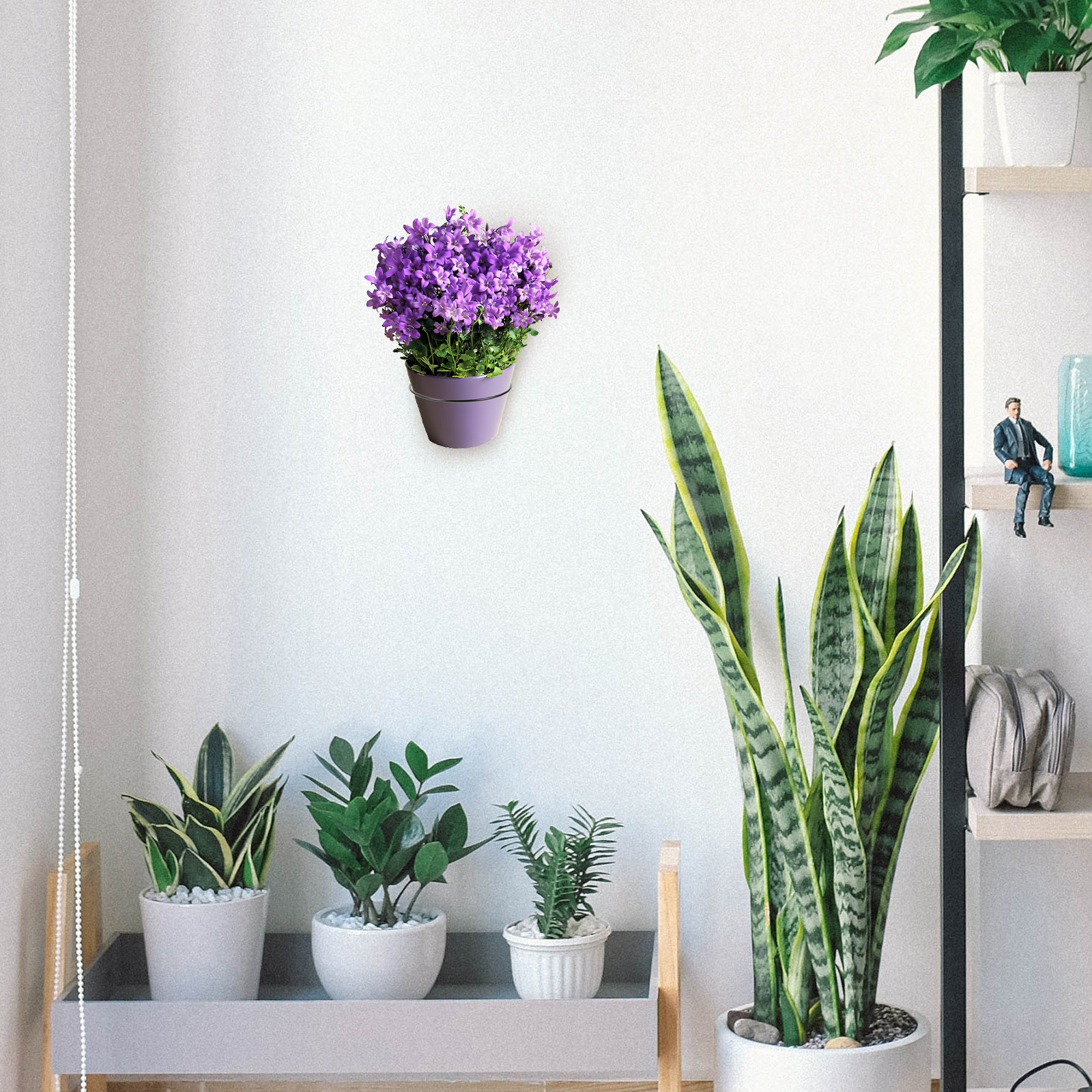 Iron Wall-Mounted Flowerpot Ra - Bonsai Garden Plants 评论和价格